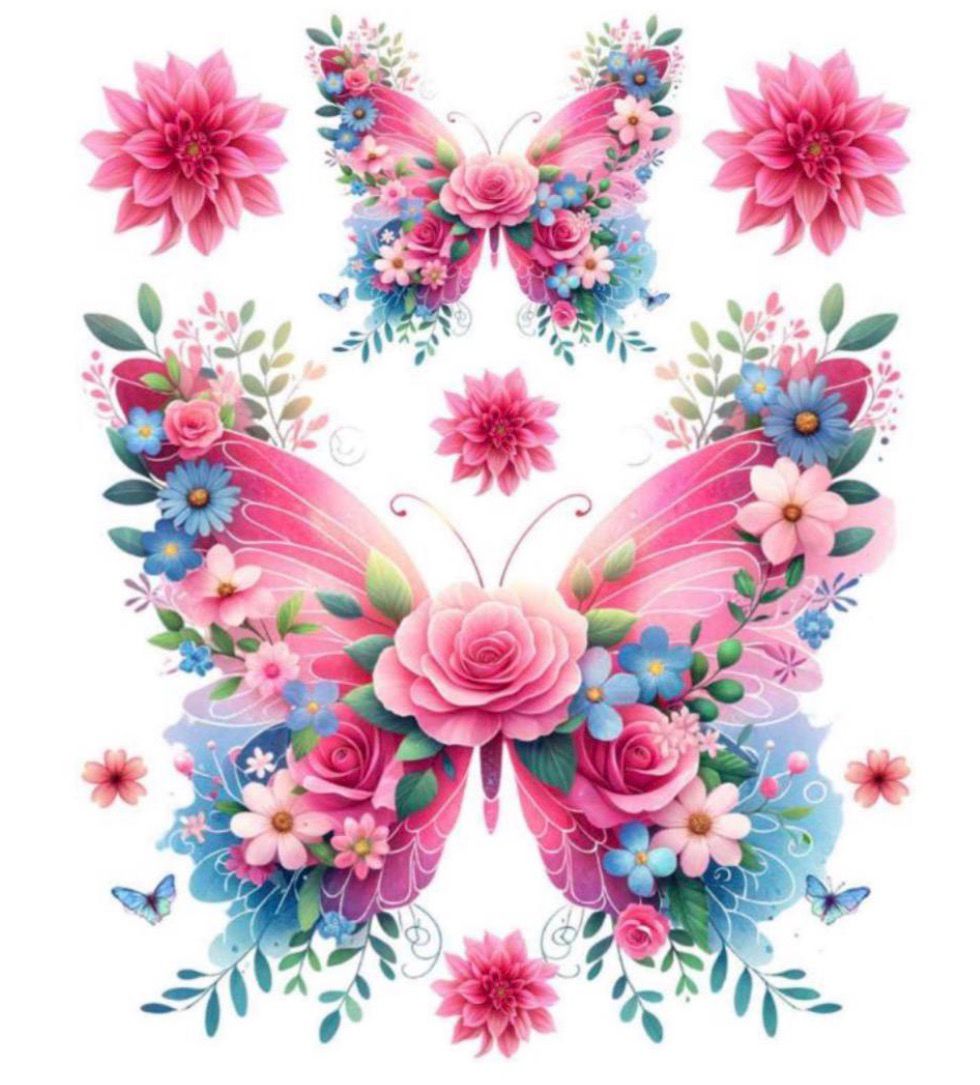 Butterfly 3