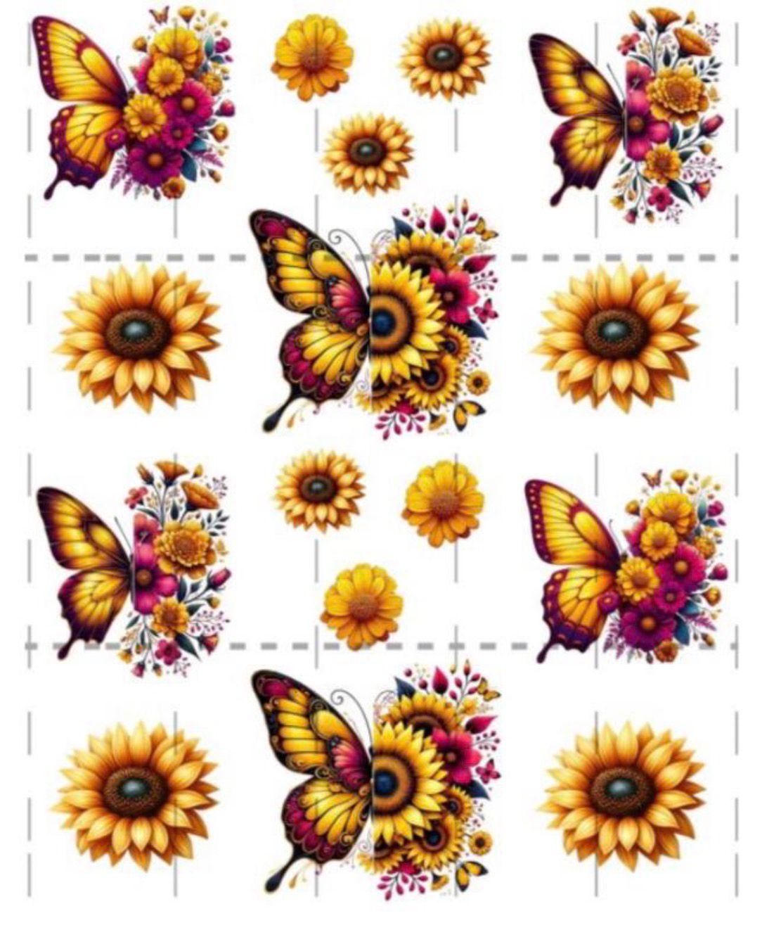Butterfly 4