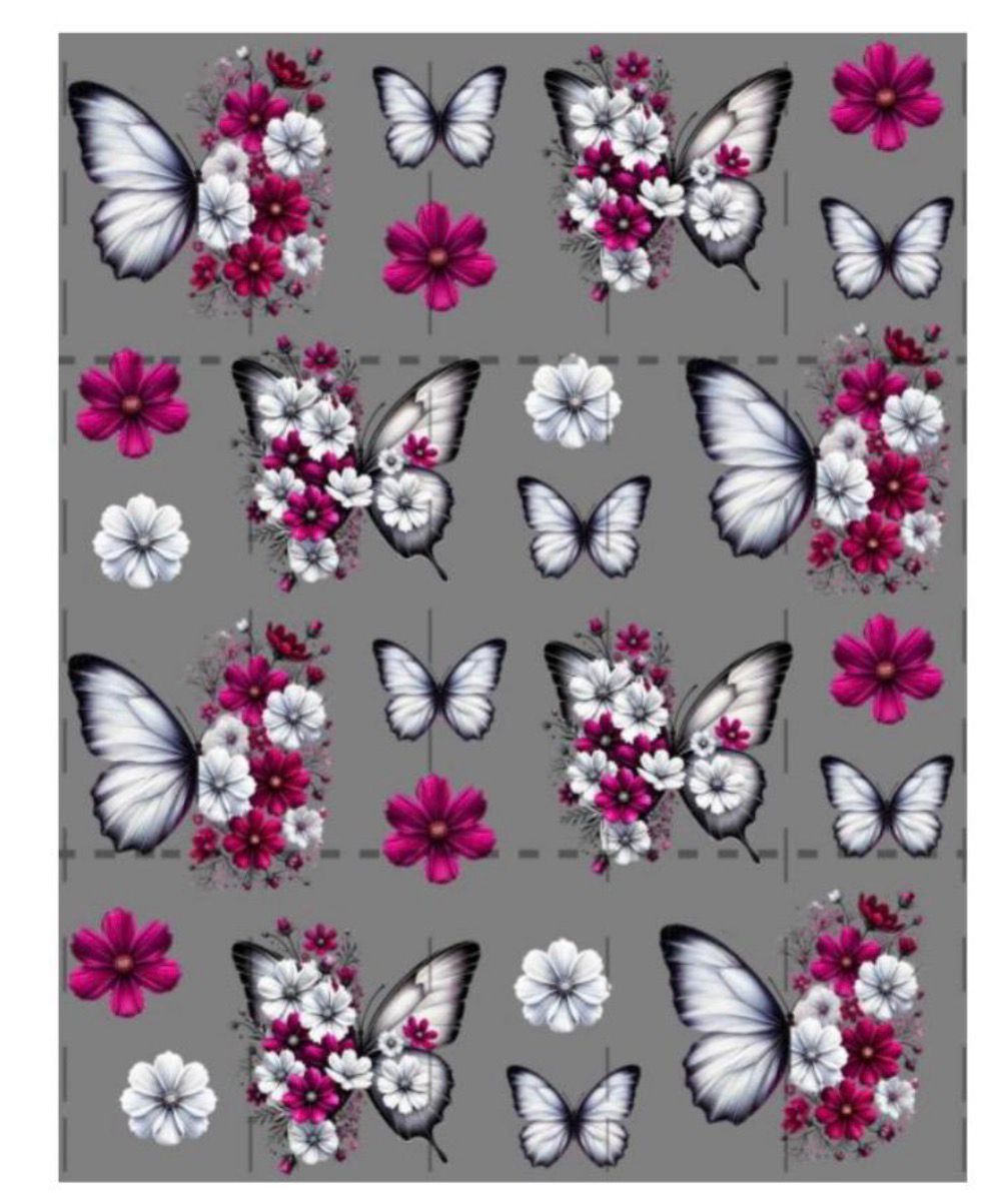 Butterfly 1