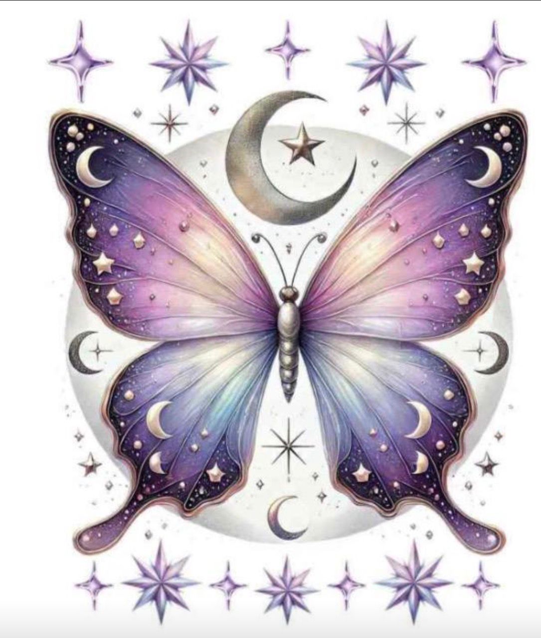Butterfly 2