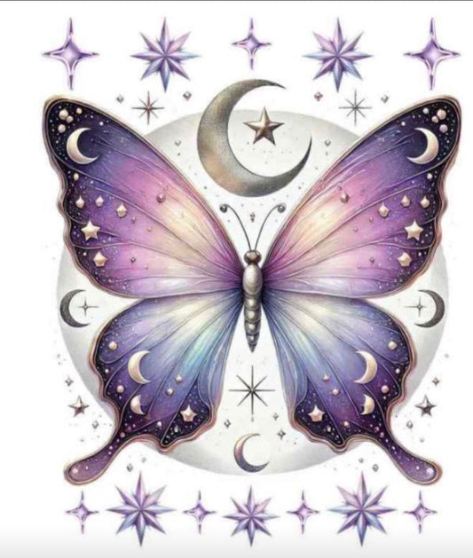 Butterfly 2